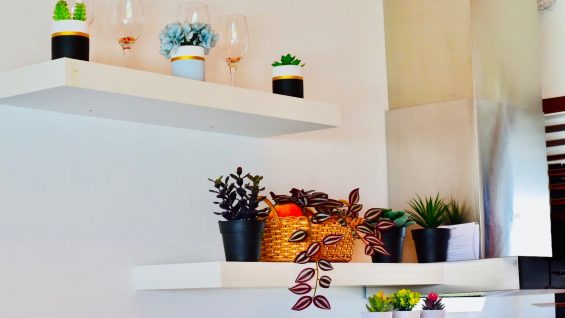 LINE_ALBUM_Primo รูปอัพเดทใหม่_250322_18