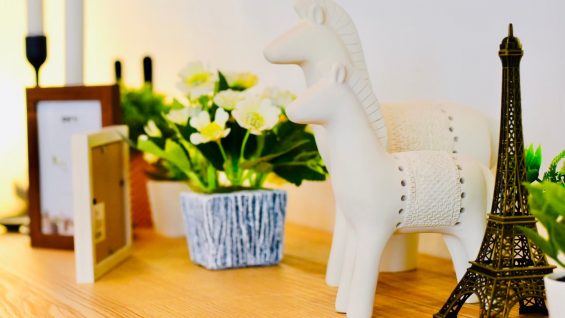 LINE_ALBUM_Primo รูปอัพเดทใหม่_250322_20