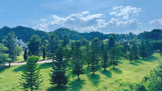 LINE_ALBUM_8.99-วังกะทะ_250626_2