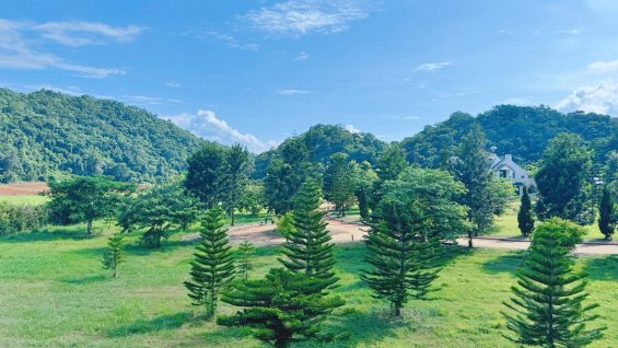 LINE_ALBUM_8.99-วังกะทะ_250626_3