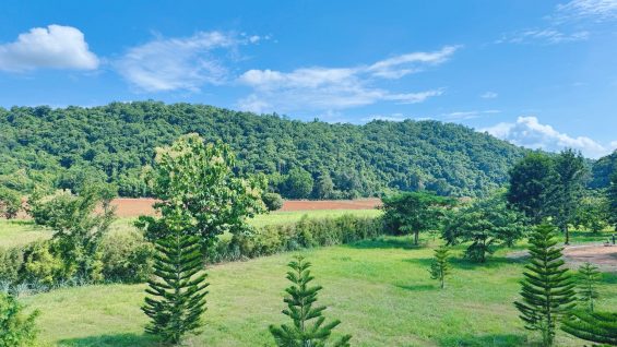 LINE_ALBUM_8.99-วังกะทะ_250626_4